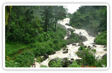 munnar1