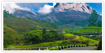 munnar1