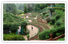 ooty