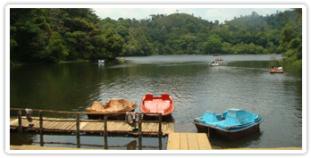 WAYANAD2
