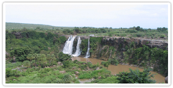 WAYANAD4